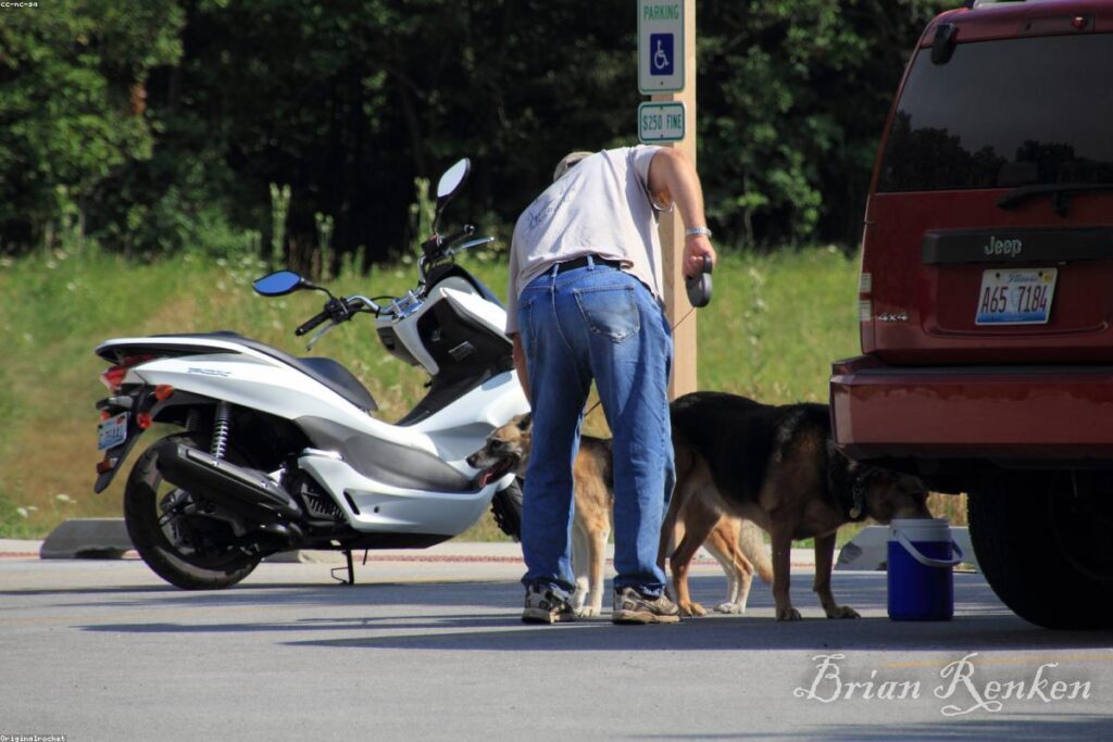 Honda PCX 160 DLX ABS 2024 Branca